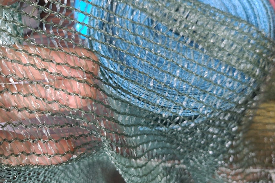 Kuş Filesi Şeffaf 4x10m – Meyve Bahçesi & Bağ Kuş Önleme Ağı