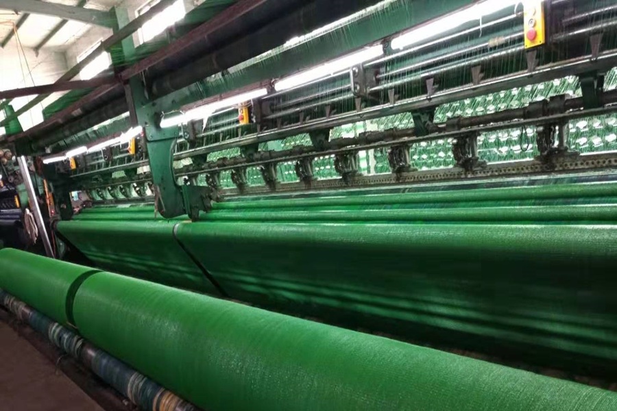 Kuş Önleme Filesi Yeşil 6x50m – Büyük Meyve Bahçesi & Sera Koruma